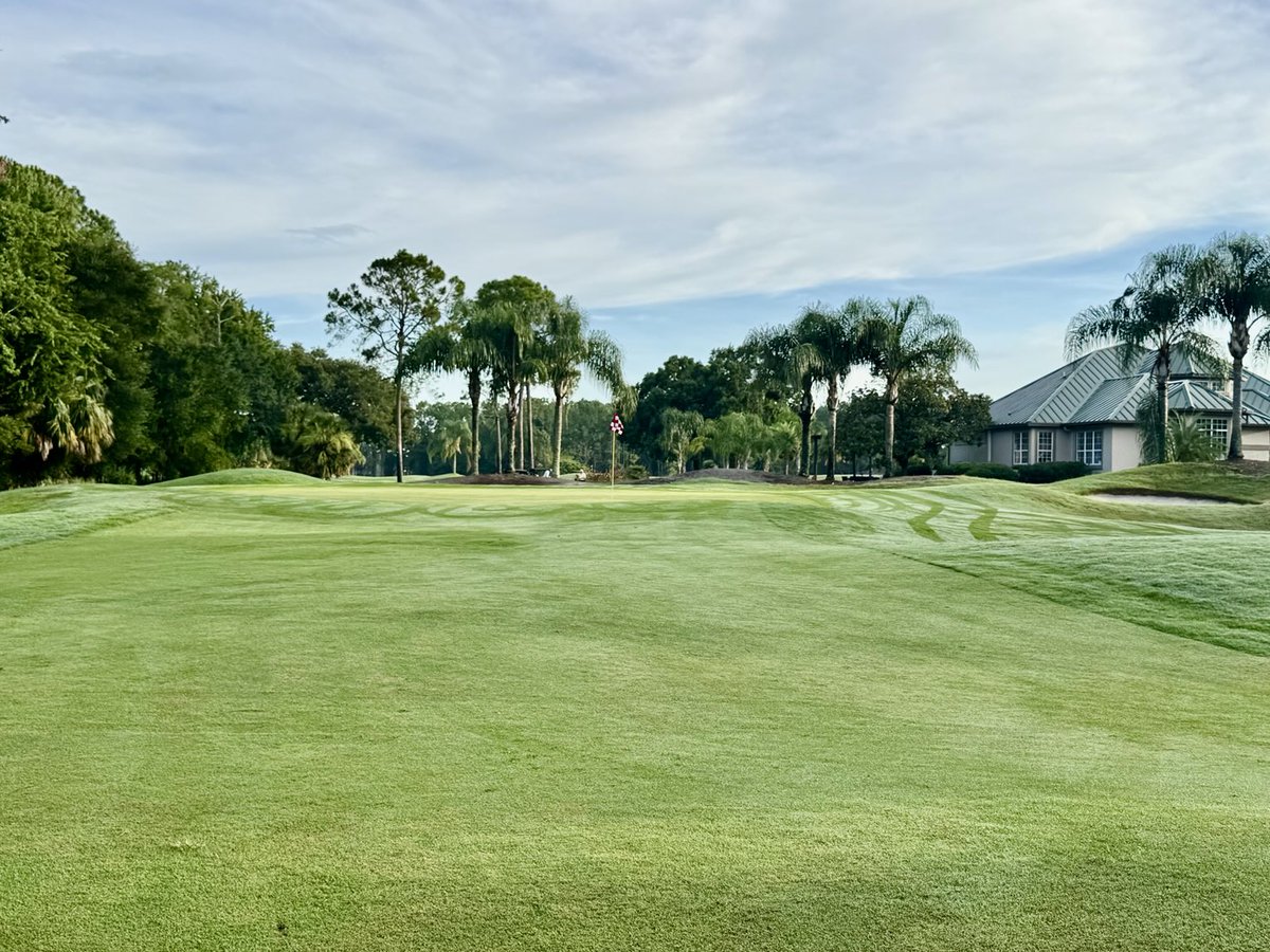 David B Levin tweet media