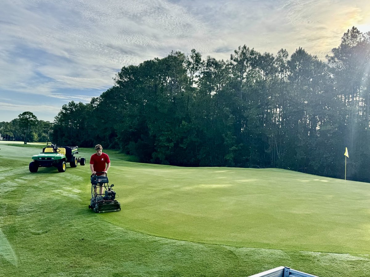 David B Levin tweet media