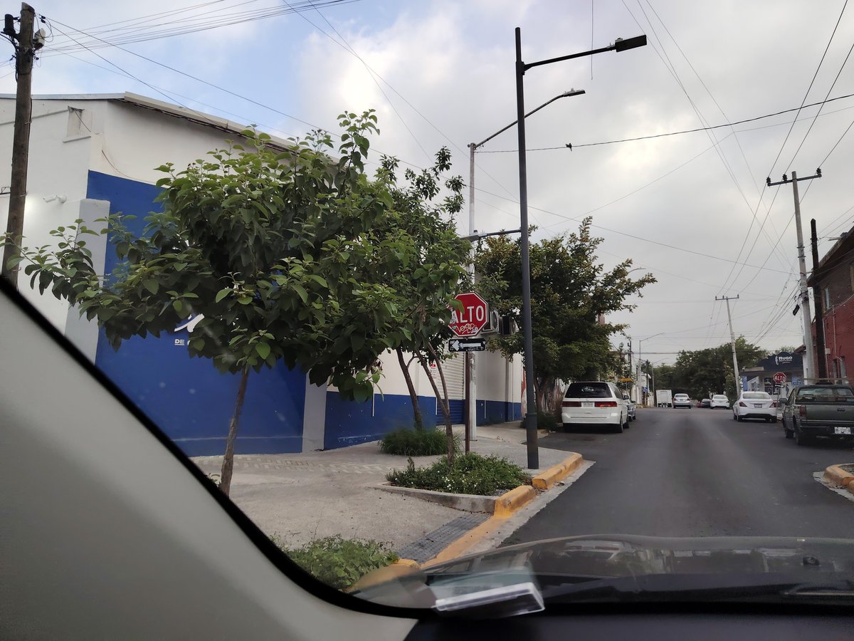 CIC (@cicmty) on Twitter photo #ServiciosPúblicos ramas de árbol obstruyen visibilidad de señalamiento de ALTO en Álvaro Obregón y Modesto Arreola, Centro #Monterrey vía <a href="/ja_20_10/">JA</a> cc <a href="/ServPublicosMty/">Secretaría de Servicios Públicos Mty</a> <a href="/SEDUSOMonterrey/">Secretaría de Desarrollo Urbano Sostenible Mty</a> #ServiciosPúblicos ramas de árbol obstruyen visibilidad de señalamiento de ALTO en Álvaro Obregón y Modesto Arreola, Centro #Monterrey vía <a href="/ja_20_10/">JA</a> cc <a href="/ServPublicosMty/">Secretaría de Servicios Públicos Mty</a> <a href="/SEDUSOMonterrey/">Secretaría de Desarrollo Urbano Sostenible Mty</a>