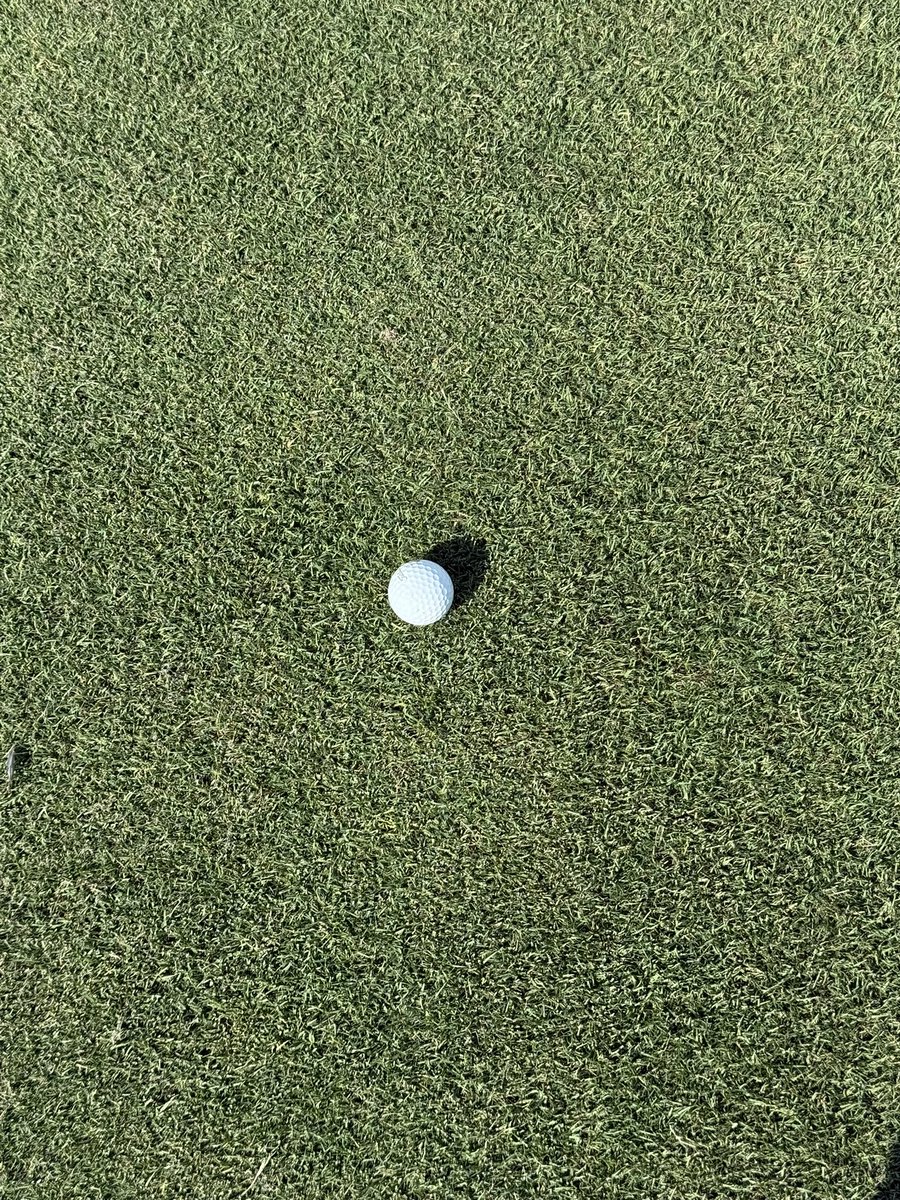 Plisken2112's tweet image. Out for some quality control this afternoon. Last 3 weeks has had its challenges but hard work from the team, changes in some tee / fairway inputs and ideal bermuda weather have brought together some excellent conditions here. #polyon @540jimw @HarrellsLLC @mcturf757