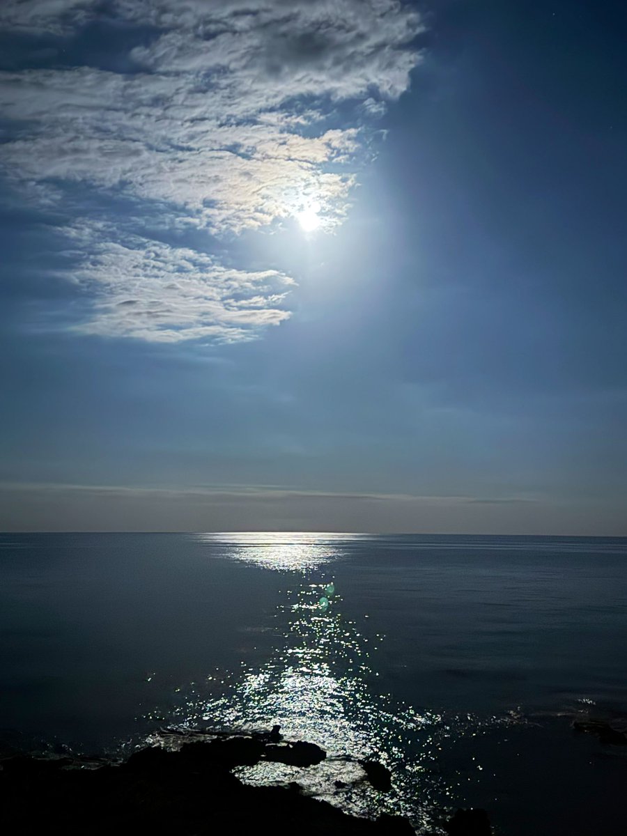 Manuvi_'s tweet image. Moonlight shadow