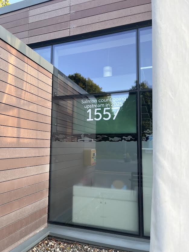 Ladder count 1557
Water temp 64F  (17.8C)
Friday 11/7/25   21:02 BST