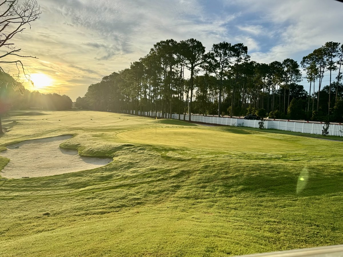 David B Levin tweet media