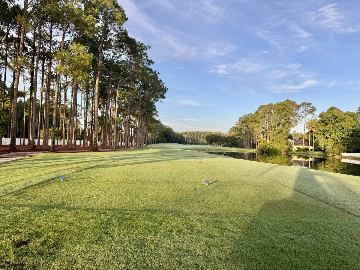 David B Levin tweet media