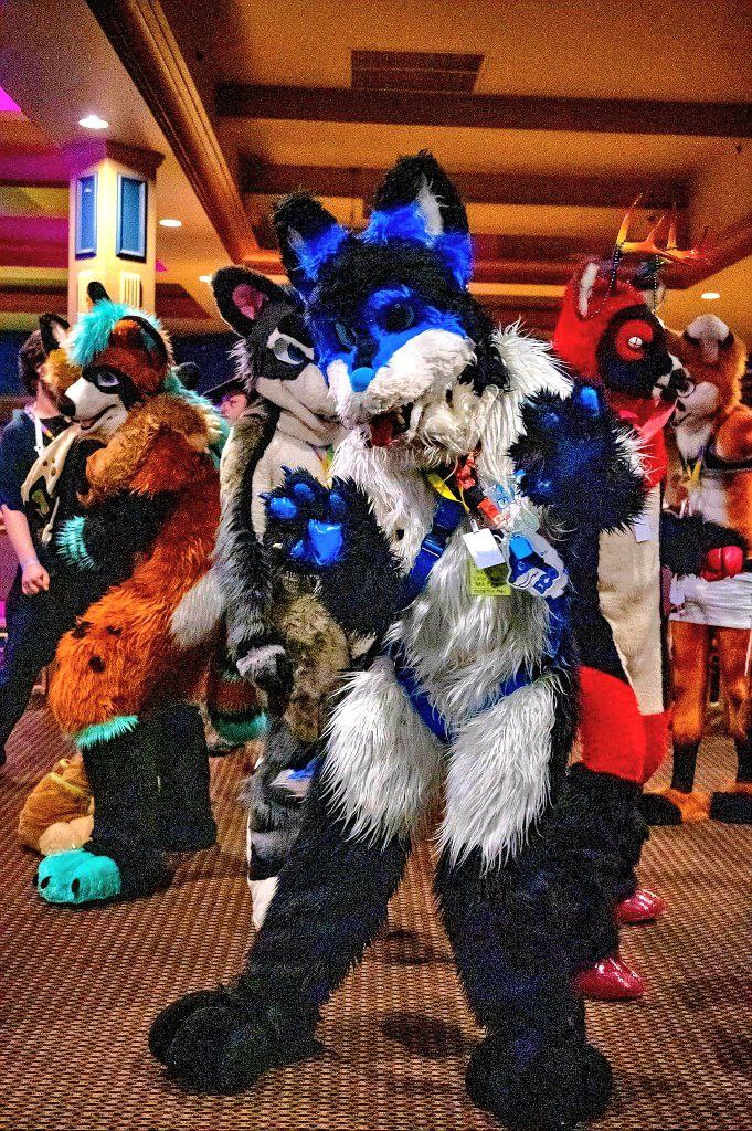 AuroraWusky69's tweet image. Just 6 more days tell @fureh
Oh my dog i can't wait
Happy #FursuitFriday