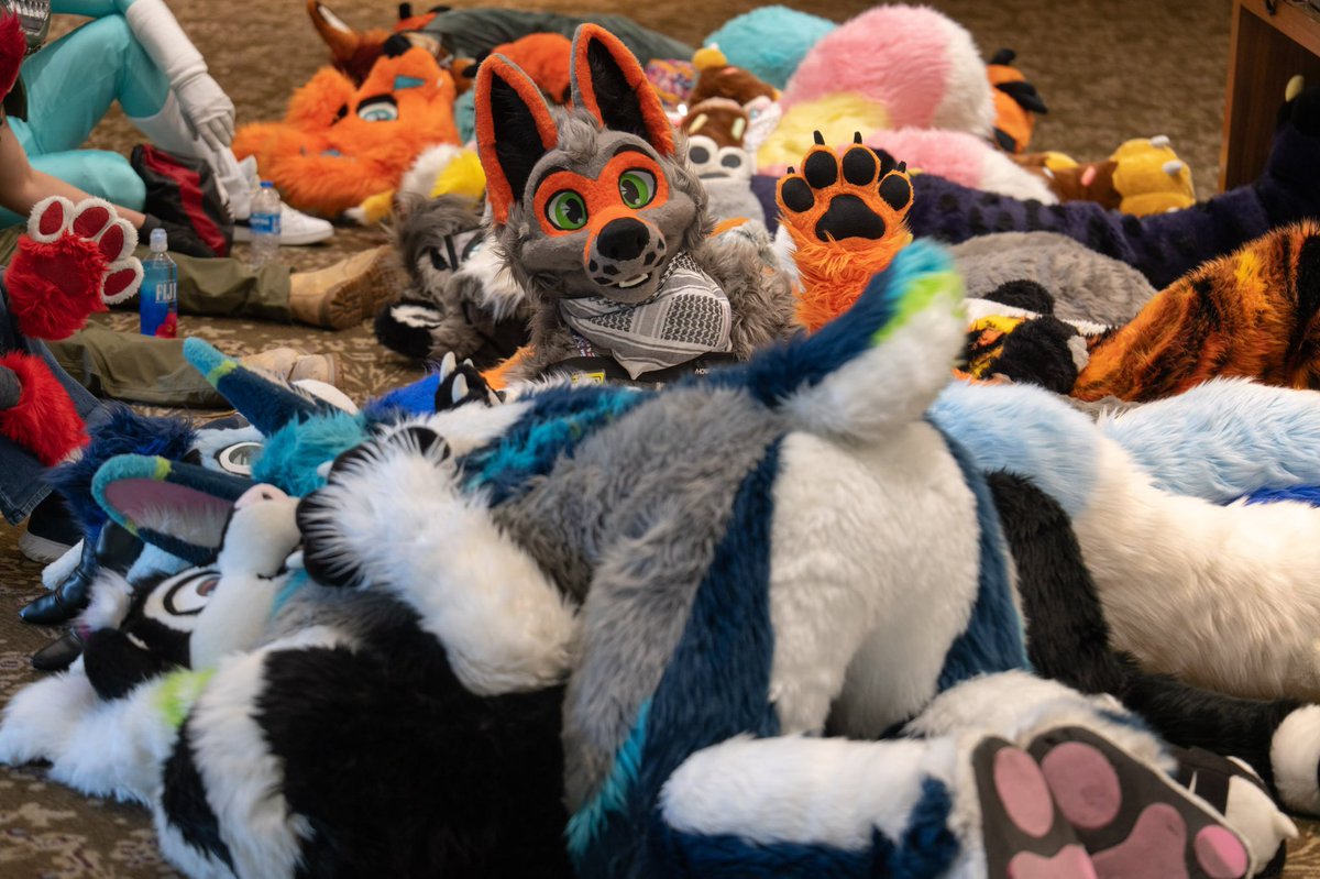 Squeaky boi 🔜 FE 26 tweet media