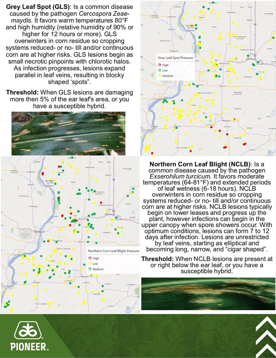 Brad Mason tweet media