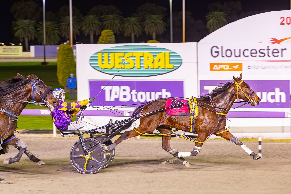 JpPacing's tweet image. Mighty Ronaldo 💪🏼 
11.7.2025 Nova Winter Cup (G3) 
Mile Rate - 1:56:9 
A very well deserved win by Ronaldo after a long time between drinks and always putting in exceptional runs in his races. 

Congratulations to Ronaldo’s connections 🏆
The champ is back 💜💛 

📸 @pacepix_au