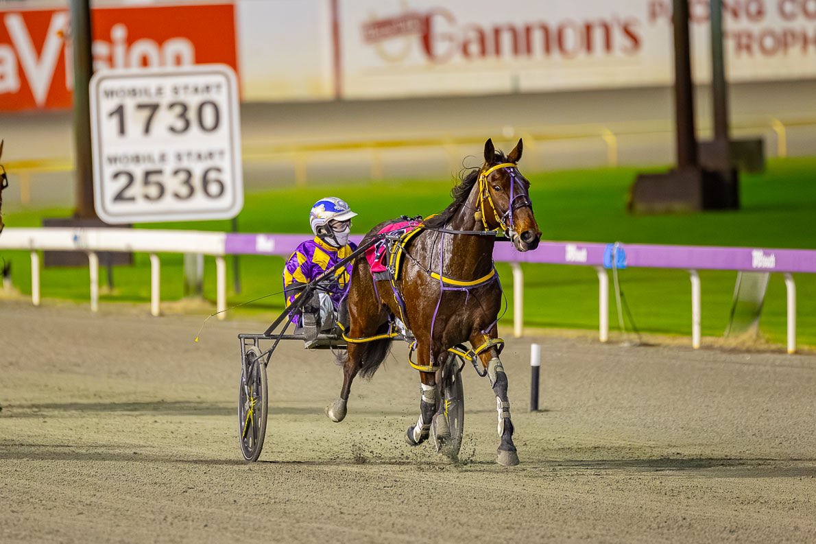 JpPacing's tweet image. Mighty Ronaldo 💪🏼 
11.7.2025 Nova Winter Cup (G3) 
Mile Rate - 1:56:9 
A very well deserved win by Ronaldo after a long time between drinks and always putting in exceptional runs in his races. 

Congratulations to Ronaldo’s connections 🏆
The champ is back 💜💛 

📸 @pacepix_au