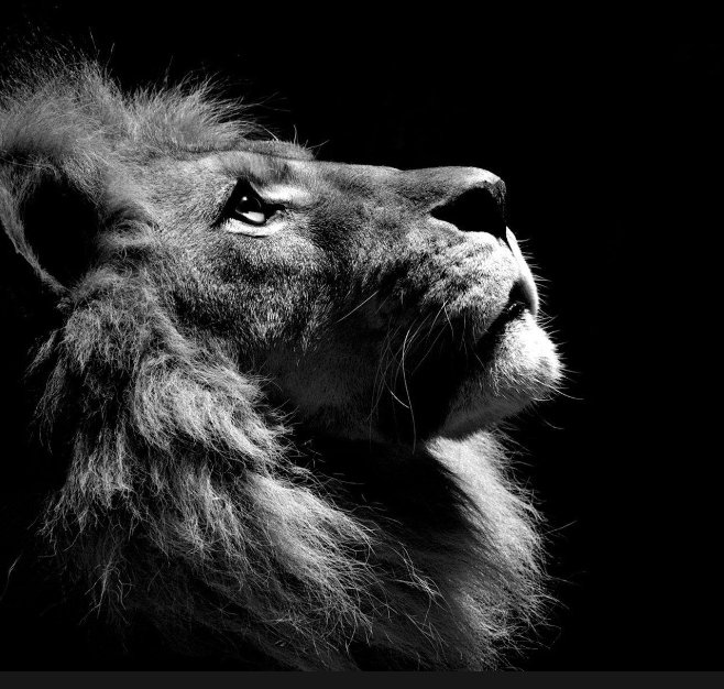 SOLOMON OF ABUJA 🤴 (@davidsolom82677) on Twitter photo <a href="/Paloma7725/">P🅰️L🅾️M🅰️ 🕊</a> <a href="/SOLUTIONSMG/">SOLUTIONS - Marcel Ganze💯</a> <a href="/Taggie1224/">Agatha🏴🇳🇴🏴🇺🇸</a> <a href="/KhingGem/">Mighty U Cee</a> <a href="/HenriCastillon/">Henri Castillon 🇫🇷🇮🇱🎗️🇺🇸</a> <a href="/TDBGood68/">TonytheBull</a> <a href="/MarcoMi20567866/">Marco Mi</a> <a href="/ReiRebeldes/">Rei dos Rebeldes | Vamos acabar 💪</a> <a href="/Spooks/">Rocket_Medic</a> <a href="/offer92714/">Ralf Offer</a> <a href="/iam_sebbo/">Sebbo.</a> <a href="/Anti_Krieg/">Anti Krieg 🇩🇪</a> <a href="/KarenSh14138126/">Karen Sheridan 🇺🇸 💜</a> <a href="/BlaesenHei10712/">heinzi893643651</a> <a href="/ringostar_181/">Ringostar181</a> <a href="/bigsoup6_7/">soup6.7 (Scrappy)</a> <a href="/sokeefe726/">Sean O'Keefe</a> <a href="/Wicket_Smaht/">🇺🇸 🥸 Sofa Kingbad 🤌 🏧</a> <a href="/solomonGranty/">🇩🇪solomonGrundy🇺🇸</a> <a href="/soropito/">Soropito🍀</a> <a href="/Baoo_321/">Baoo_313 🇵🇰🇨🇳🇫🇷🇩🇪🇹🇷🇯🇵🇺🇸🇬🇧🇧🇷🇨🇦</a> <a href="/ArdySoen6/">Ardy Soen</a> <a href="/esferamor/">SOY LU 🐬</a> <a href="/eviesophia84/">Sophia</a> <a href="/grindelKadse/">🇩🇪💙grindelKadse❤️🇺🇸</a> <a href="/Ghos_tofFire/">Ghost</a> <a href="/group_raf/">RAF PEDRAS PRECIOSAS</a> <a href="/UHeartofoak/">꧁UKHeartofoak꧂ 🇬🇧 ❤️ 🌲</a> <a href="/oDOB3RM4No/">o0DOB3RM4NN0o🇨🇭🦦</a> <a href="/KlausLothbrok/">Queen 👑 Yinka 💞 and 72 others pitied you and</a> <a href="/nbea_h/">#𝕾𝖚𝖕𝖊𝖗𝕱𝖗𝖎𝖊𝖓𝖉𝖘 #𝕿𝖔𝖕𝕱𝖗𝖎𝖊𝖓𝖉𝖘</a> <a href="/lapplandgirl/">Finja/Nanuk</a> <a href="/AgwengeOtieno/">Logbook</a> CONNECTING WITH ALL ACTIVE MUTUALS Y'ALL REPOST LET FOLLOW YOU?
<a href="/Paloma7725/">P🅰️L🅾️M🅰️ 🕊</a>
<a href="/lapplandgirl/">Finja/Nanuk</a>
<a href="/Bo_Lognese/">👑 𝓑𝓸_𝓛𝓸𝓰𝓷𝓮𝓼𝓮 👑</a>
<a href="/stayalon3/">Key</a>
<a href="/tholson90/">Dead End King</a>
<a href="/grindelKadse/">🇩🇪💙grindelKadse❤️🇺🇸</a>
<a href="/TiagoDllaB/">𝔗𝔦𝔞𝔤𝔬 𝔇.𝔅 ঔৣ 🌹</a>
<a href="/Tweet_Alphabet/">ALPHABET</a>
<a href="/vegaskate50001/">Vegas</a>
<a href="/GeorgPupatz77/">Panic^in^Berlin🇩🇪 🇺🇸🥑</a>
<a href="/AndraCastilho3/">Andrada & Camelo....Farma BR/USA</a>
<a href="/ArrietaFrank/">U̸S̸A̸я︎м︎yVє︎т︎¹¹ᵇ</a>
<a href="/zackaryurban/">𝚉𝚊𝚌 𝚄𝚛𝚋𝚊𝚗</a>
<a href="/LWPH/">Opa-Ü-70- Erfahrung u. Erleben aus zwei Systemen</a> <a href="/1qqmr/">𝓦𝓐𝓐𝓓</a>
<a href="/luc_fam/">LUCAS.</a> <a href="/oz35q/">σƶ∂εɱเ૨</a>
RPt
➕
Ad <a href="/Paloma7725/">P🅰️L🅾️M🅰️ 🕊</a> <a href="/SOLUTIONSMG/">SOLUTIONS - Marcel Ganze💯</a> <a href="/Taggie1224/">Agatha🏴🇳🇴🏴🇺🇸</a> <a href="/KhingGem/">Mighty U Cee</a> <a href="/HenriCastillon/">Henri Castillon 🇫🇷🇮🇱🎗️🇺🇸</a> <a href="/TDBGood68/">TonytheBull</a> <a href="/MarcoMi20567866/">Marco Mi</a> <a href="/ReiRebeldes/">Rei dos Rebeldes | Vamos acabar 💪</a> <a href="/Spooks/">Rocket_Medic</a> <a href="/offer92714/">Ralf Offer</a> <a href="/iam_sebbo/">Sebbo.</a> <a href="/Anti_Krieg/">Anti Krieg 🇩🇪</a> <a href="/KarenSh14138126/">Karen Sheridan 🇺🇸 💜</a> <a href="/BlaesenHei10712/">heinzi893643651</a> <a href="/ringostar_181/">Ringostar181</a> <a href="/bigsoup6_7/">soup6.7 (Scrappy)</a> <a href="/sokeefe726/">Sean O'Keefe</a> <a href="/Wicket_Smaht/">🇺🇸 🥸 Sofa Kingbad 🤌 🏧</a> <a href="/solomonGranty/">🇩🇪solomonGrundy🇺🇸</a> <a href="/soropito/">Soropito🍀</a> <a href="/Baoo_321/">Baoo_313 🇵🇰🇨🇳🇫🇷🇩🇪🇹🇷🇯🇵🇺🇸🇬🇧🇧🇷🇨🇦</a> <a href="/ArdySoen6/">Ardy Soen</a> <a href="/esferamor/">SOY LU 🐬</a> <a href="/eviesophia84/">Sophia</a> <a href="/grindelKadse/">🇩🇪💙grindelKadse❤️🇺🇸</a> <a href="/Ghos_tofFire/">Ghost</a> <a href="/group_raf/">RAF PEDRAS PRECIOSAS</a> <a href="/UHeartofoak/">꧁UKHeartofoak꧂ 🇬🇧 ❤️ 🌲</a> <a href="/oDOB3RM4No/">o0DOB3RM4NN0o🇨🇭🦦</a> <a href="/KlausLothbrok/">Queen 👑 Yinka 💞 and 72 others pitied you and</a> <a href="/nbea_h/">#𝕾𝖚𝖕𝖊𝖗𝕱𝖗𝖎𝖊𝖓𝖉𝖘 #𝕿𝖔𝖕𝕱𝖗𝖎𝖊𝖓𝖉𝖘</a> <a href="/lapplandgirl/">Finja/Nanuk</a> <a href="/AgwengeOtieno/">Logbook</a> CONNECTING WITH ALL ACTIVE MUTUALS Y'ALL REPOST LET FOLLOW YOU?
<a href="/Paloma7725/">P🅰️L🅾️M🅰️ 🕊</a>
<a href="/lapplandgirl/">Finja/Nanuk</a>
<a href="/Bo_Lognese/">👑 𝓑𝓸_𝓛𝓸𝓰𝓷𝓮𝓼𝓮 👑</a>
<a href="/stayalon3/">Key</a>
<a href="/tholson90/">Dead End King</a>
<a href="/grindelKadse/">🇩🇪💙grindelKadse❤️🇺🇸</a>
<a href="/TiagoDllaB/">𝔗𝔦𝔞𝔤𝔬 𝔇.𝔅 ঔৣ 🌹</a>
<a href="/Tweet_Alphabet/">ALPHABET</a>
<a href="/vegaskate50001/">Vegas</a>
<a href="/GeorgPupatz77/">Panic^in^Berlin🇩🇪 🇺🇸🥑</a>
<a href="/AndraCastilho3/">Andrada & Camelo....Farma BR/USA</a>
<a href="/ArrietaFrank/">U̸S̸A̸я︎м︎yVє︎т︎¹¹ᵇ</a>
<a href="/zackaryurban/">𝚉𝚊𝚌 𝚄𝚛𝚋𝚊𝚗</a>
<a href="/LWPH/">Opa-Ü-70- Erfahrung u. Erleben aus zwei Systemen</a> <a href="/1qqmr/">𝓦𝓐𝓐𝓓</a>
<a href="/luc_fam/">LUCAS.</a> <a href="/oz35q/">σƶ∂εɱเ૨</a>
RPt
➕
Ad