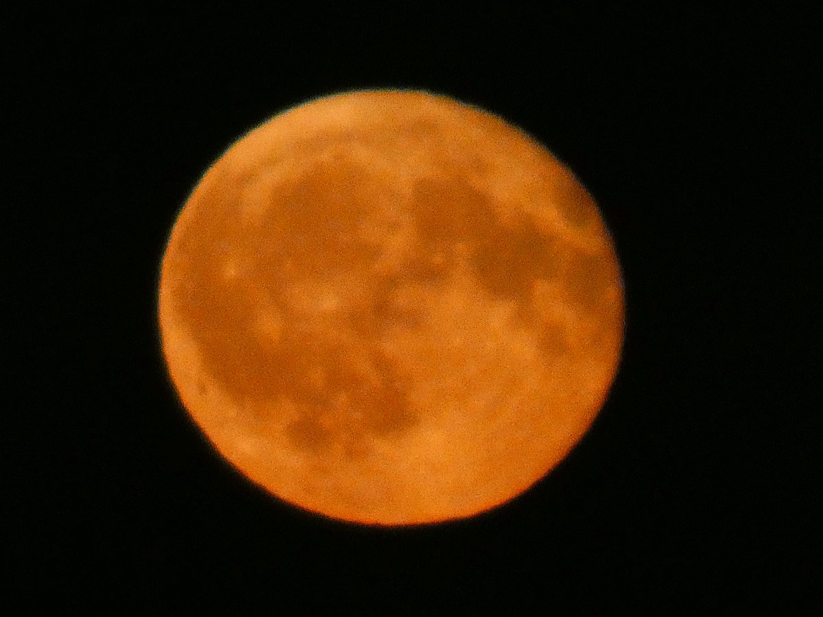 Peter Lewis (@peterlewis55) on Twitter photo It's a 3rd night of Full Moon rises! Actually a 99% Waning Gibbous. And yes, that is a church cross that's photobombing it tonght. The local parishioners of the Good Shepherd in Carshalton will be thrilled! <a href="/StormHour/">#StormHour</a> <a href="/ThePhotoHour/">#ThePhotoHour</a> <a href="/MoonHourSocial/">#MoonHour™️Social</a> #MoonHour It's a 3rd night of Full Moon rises! Actually a 99% Waning Gibbous. And yes, that is a church cross that's photobombing it tonght. The local parishioners of the Good Shepherd in Carshalton will be thrilled! <a href="/StormHour/">#StormHour</a> <a href="/ThePhotoHour/">#ThePhotoHour</a> <a href="/MoonHourSocial/">#MoonHour™️Social</a> #MoonHour