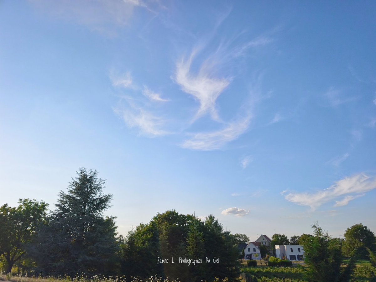 SabineL67's tweet photo. Breaking news météo en Alsace :
Aujourd’hui dans le ciel, apparition d’un cirrus en forme de bretzel 🥨
Preuve que même les nuages ont envie d’un apéro 😅🍺
On attend la saucisse et la bière dans les prochains cumulus🍺🌭
#Alsace #BasRhin #Météo #Météo67 https://t.co/KtJlLo62WY