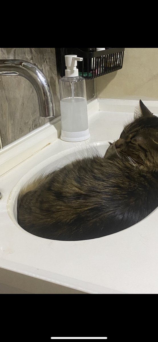 Banyoyada gelmeyelim😵‍💫😵‍💫