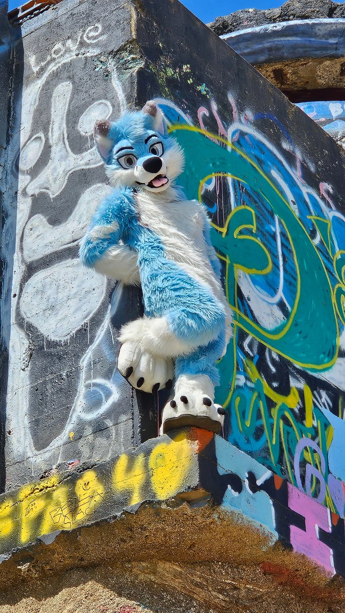 up to no good 😛🎨 

📸: <a href="/WildDogFeral/">Lafrex (Feral) 🐾</a> 
🧵🪡✂️: <a href="/wolf_daz/">Daza 🔮 GOH BKB</a> 

#FursuitFriday