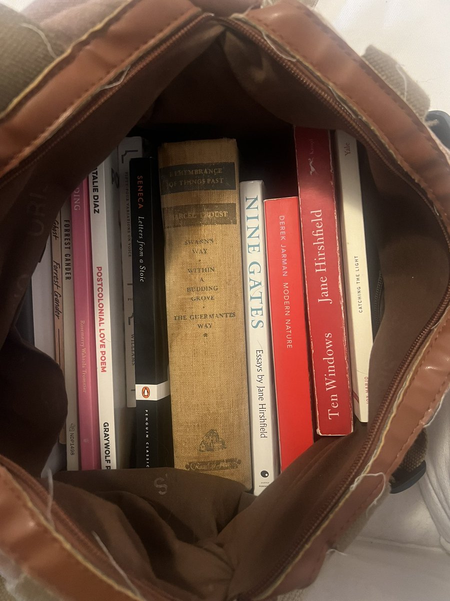 How many books are too many in the overhead bin?  *sigh*