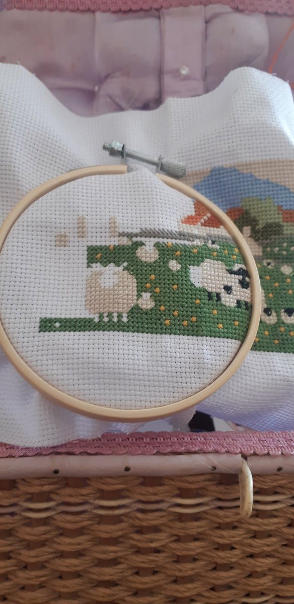 Day 13: I was making good progress on the grass, then disaster struck. I ran out of green thread. WTF?! So far that's blue, grey and green that have run out. 😖 I knew this one was going to be challenging, but that wasn't on my bingo card. 🐑
#Sheep