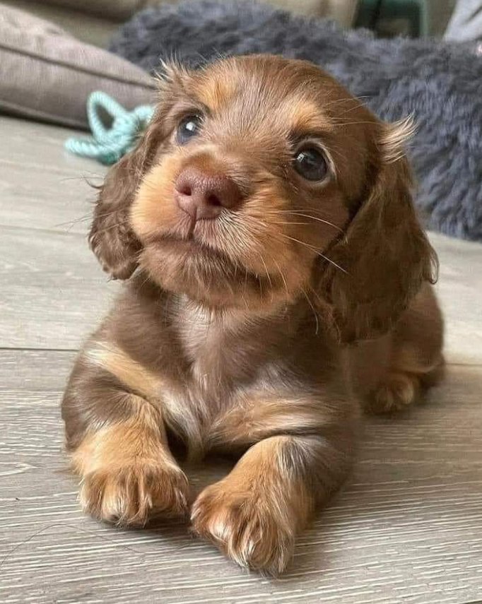 If you see this! give her a chocolate name...