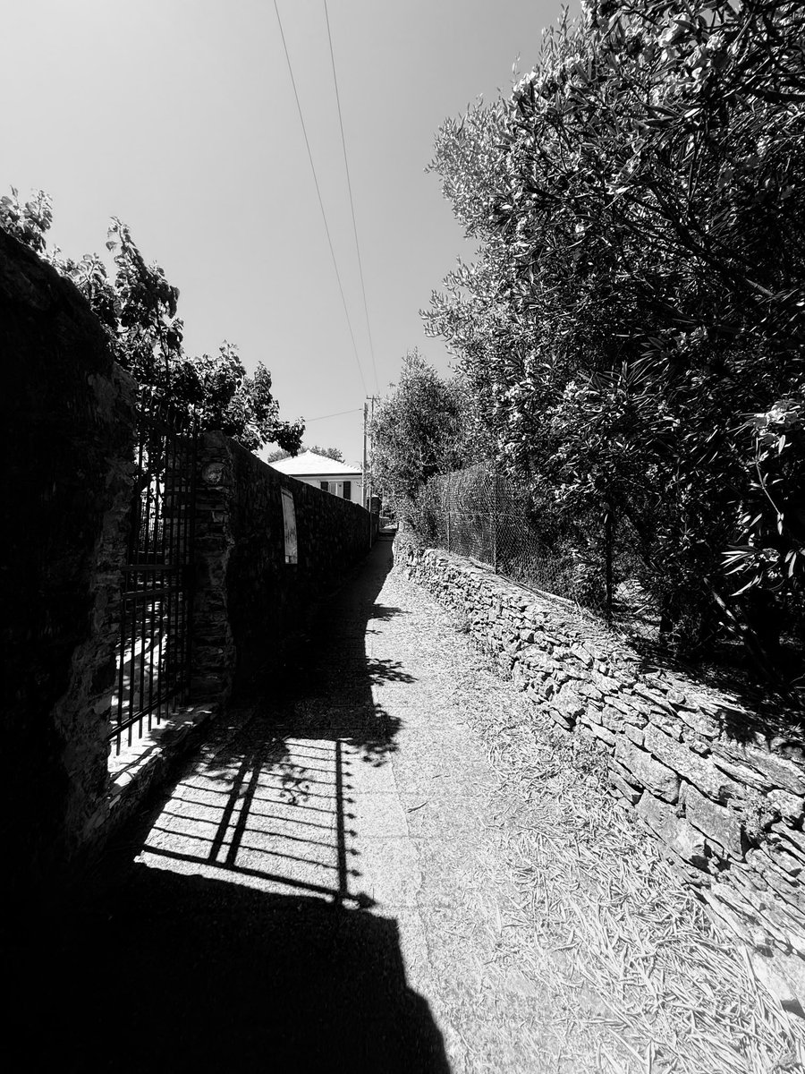 Alonein43672278's tweet photo. #photography #blackandwhite #parh #gate #shadows https://t.co/DcKdV5Afpq