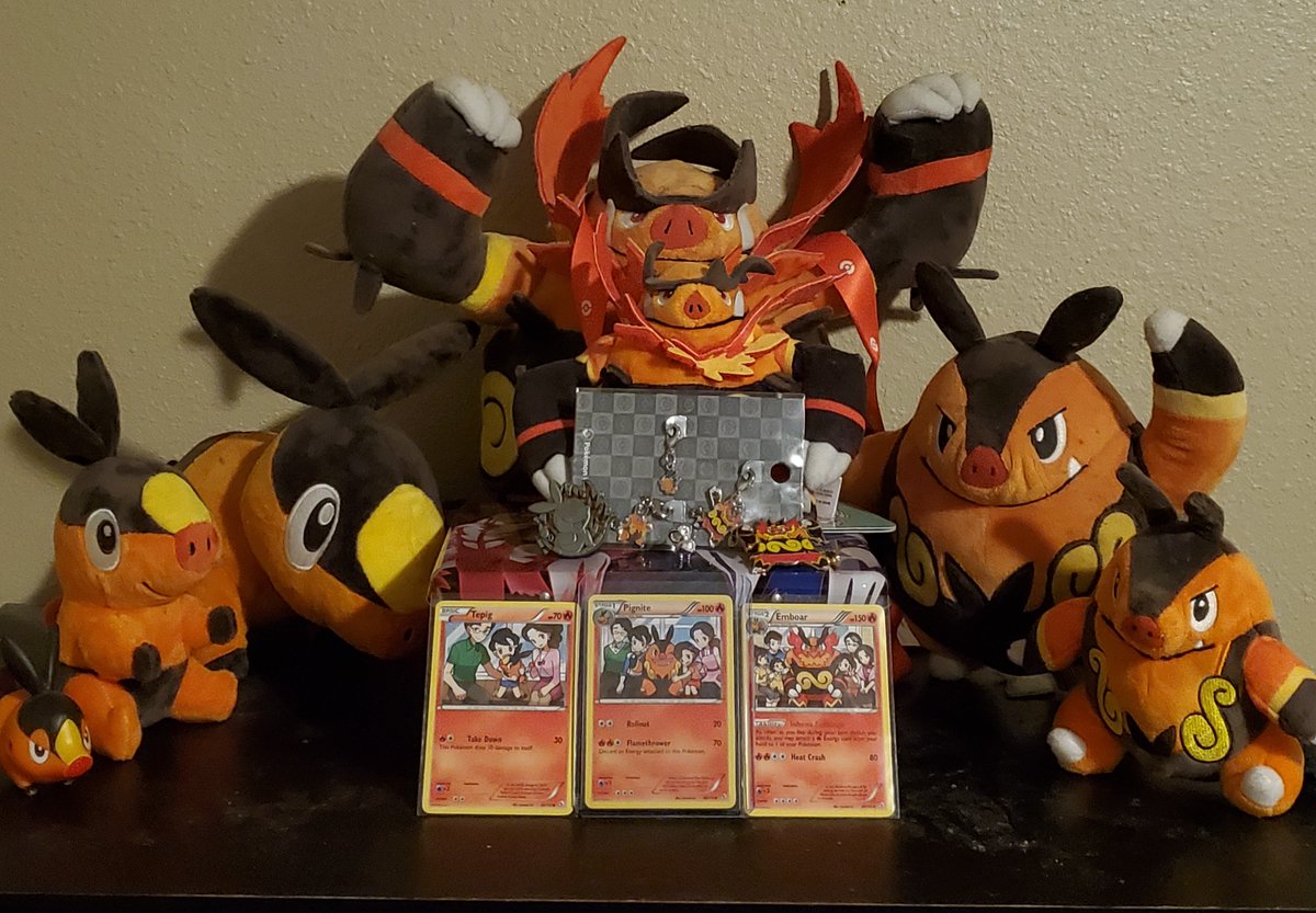ChrisRPG1's tweet photo. Tepig, Pignite and Emboar are my favorites! https://t.co/4ARCWLkVVl