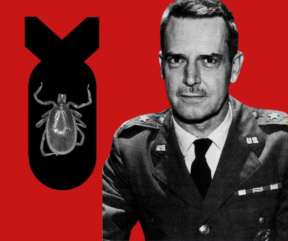 Kris Newby (@krisnewby) on Twitter photo <a href="/DrNeilStone/">Neil Stone</a> <a href="/joerogan/">Joe Rogan</a> Fact corrections about #Lyme disease and bioweapons, from someone who has written a book and produced a film about this, respectfully submitted.
—I found no proof that the Lyme bacterium was “manmade,” but a 2021 study found that the B31 Lyme bacterium strain, Borrelia <a href="/DrNeilStone/">Neil Stone</a> <a href="/joerogan/">Joe Rogan</a> Fact corrections about #Lyme disease and bioweapons, from someone who has written a book and produced a film about this, respectfully submitted.
—I found no proof that the Lyme bacterium was “manmade,” but a 2021 study found that the B31 Lyme bacterium strain, Borrelia