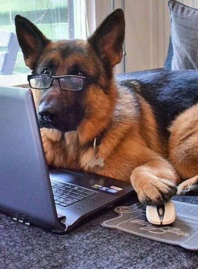 RedTailedRetard's tweet image. “Aajonus Vonderplonitz was right, raw meat is truly all you need”
“Trust me man, try the carrot salad”