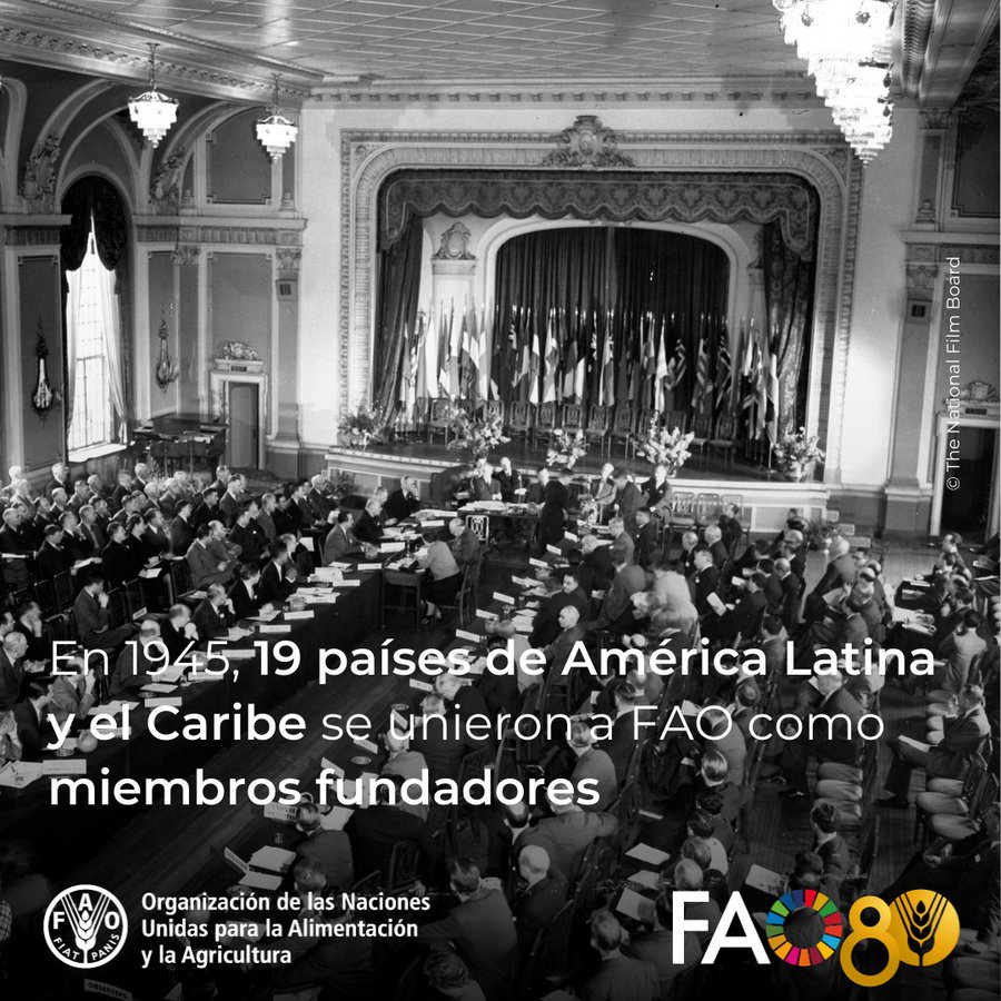 FAO Paraguay (@faoparaguay) on Twitter photo 🌎🍽️ Hace 80 años, 19 países de América Latina y el Caribe se unieron en Quebec como miembros fundadores de la <a href="/FAO/">Food and Agriculture Organization</a>, comprometiéndose a erradicar el hambre. Hoy seguimos transformando los sistemas agroalimentarios para un futuro sostenible. #FAO80
fao.org/world-food-day… 🌎🍽️ Hace 80 años, 19 países de América Latina y el Caribe se unieron en Quebec como miembros fundadores de la <a href="/FAO/">Food and Agriculture Organization</a>, comprometiéndose a erradicar el hambre. Hoy seguimos transformando los sistemas agroalimentarios para un futuro sostenible. #FAO80
fao.org/world-food-day…