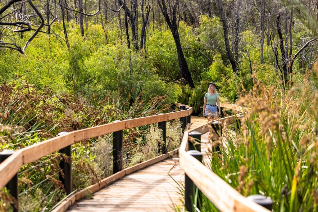 From lush forests to dramatic coastal views, Perth is surrounded by incredible national parks just waiting to be explored. Whether you're after a family-friendly stroll or a challenging summit, there’s a hike for everyone.

Find out more👉️rac.com.au/horizons/explo…