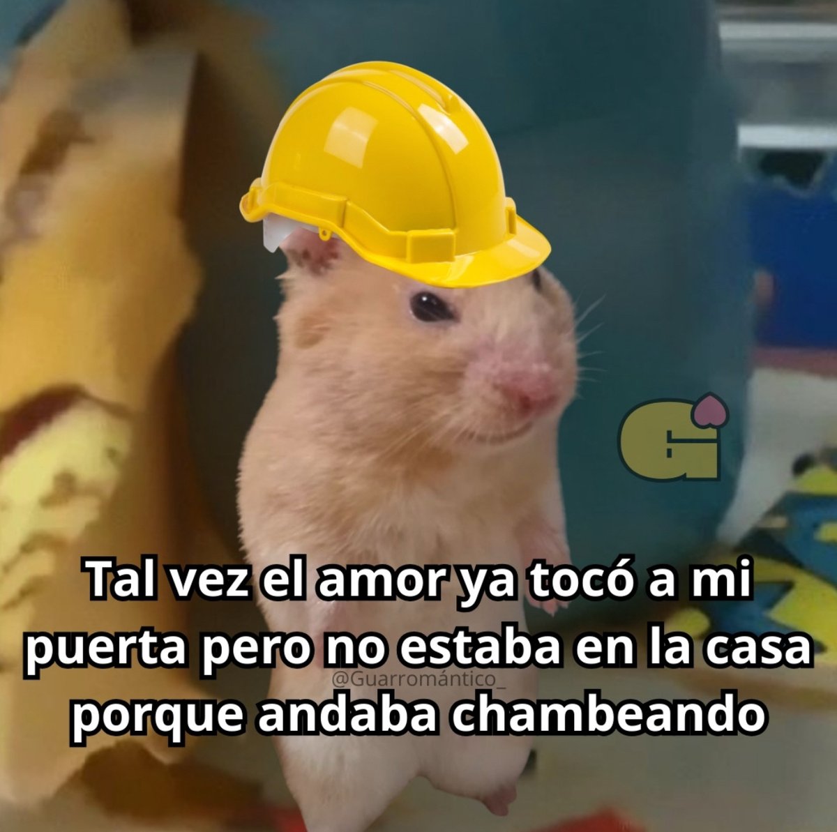 Tal vez.