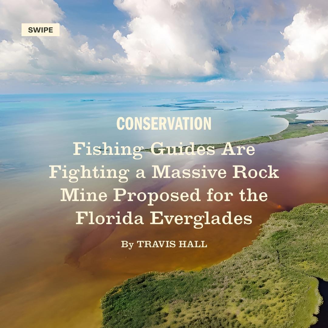 FieldandStream's tweet image. A controversial and fast-moving plan could bring rock mining to the Florida Everglades for the next 30 to 40 years.

Learn more - fieldandstream.com/stories/conser…🚨

#FieldandStream #Conservation #Everglades