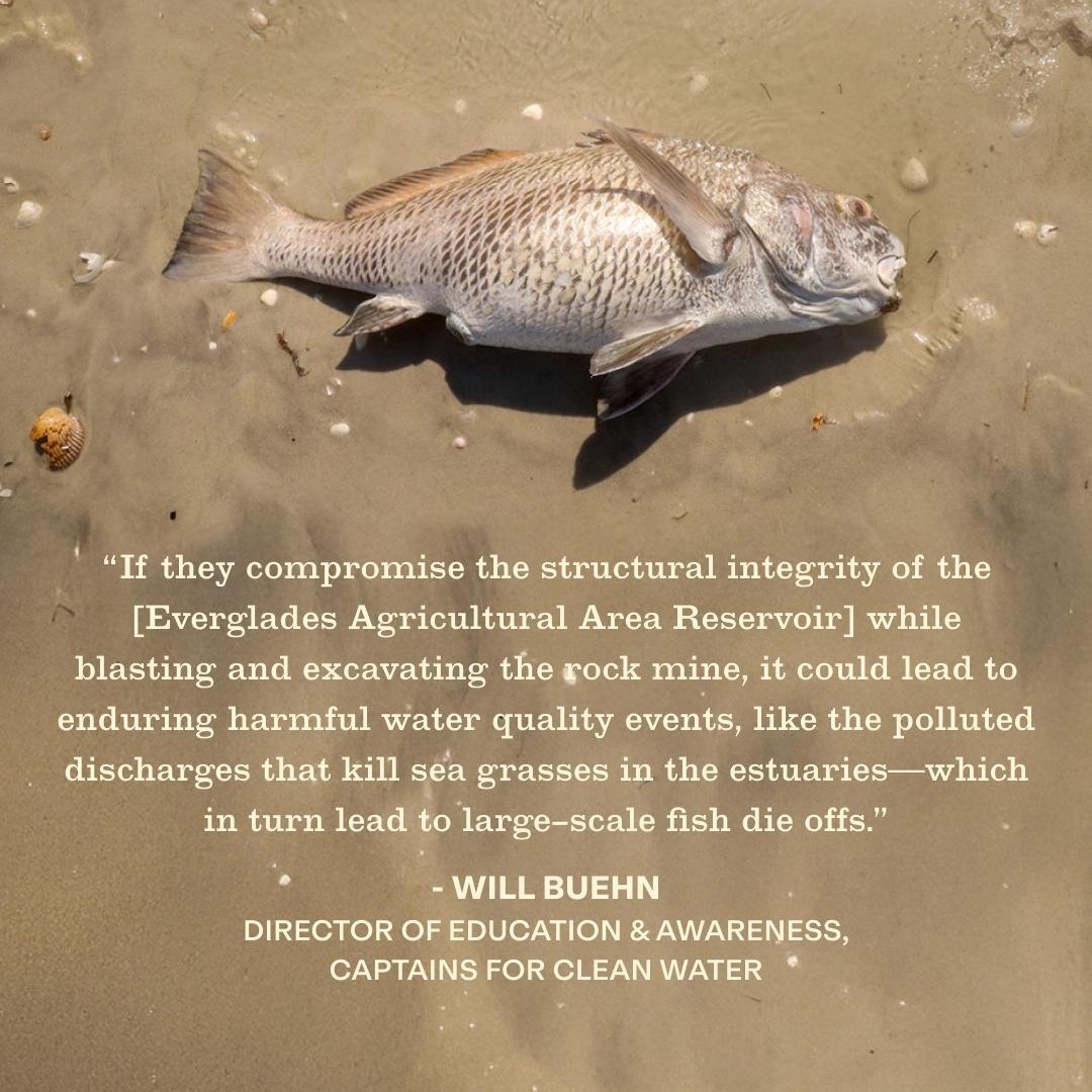 FieldandStream's tweet image. A controversial and fast-moving plan could bring rock mining to the Florida Everglades for the next 30 to 40 years.

Learn more - fieldandstream.com/stories/conser…🚨

#FieldandStream #Conservation #Everglades