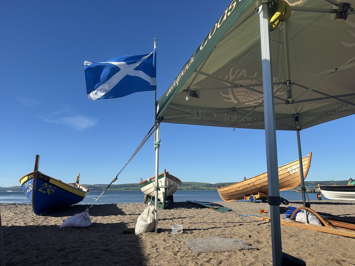 Lisa MacDonald tweet media