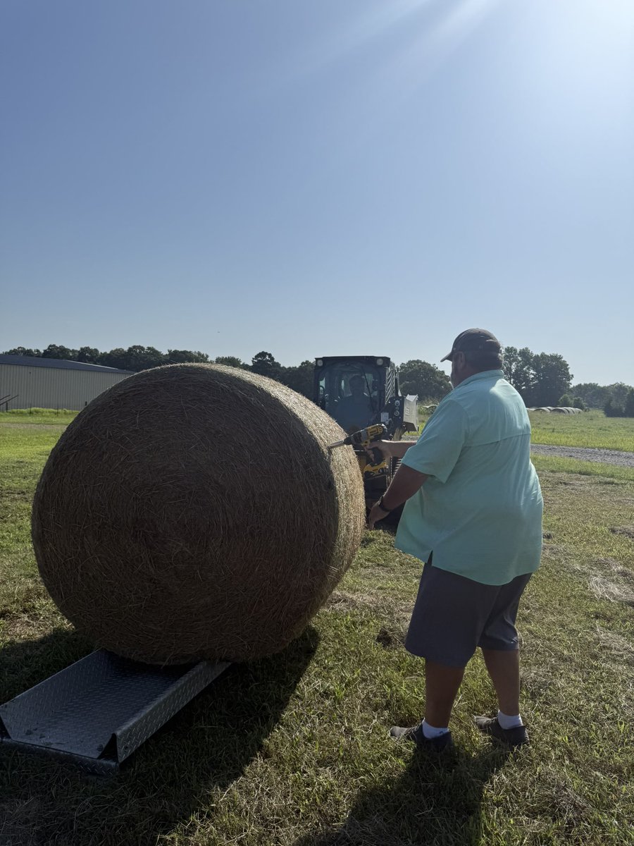 Kevin Lawson (@faulkneruada) on Twitter photo We weighed and sampled hay bales on the hay verification field, harvested our high nitrogen on bermudagrass trial, and took stem maggot ratings. Been a hot and busy morning. <a href="/BroncFinch/">Bronc Finch</a> <a href="/AR_Extension/">Arkansas Cooperative Extension Service</a> <a href="/AginArk/">UA System Div of Ag</a> We weighed and sampled hay bales on the hay verification field, harvested our high nitrogen on bermudagrass trial, and took stem maggot ratings. Been a hot and busy morning. <a href="/BroncFinch/">Bronc Finch</a> <a href="/AR_Extension/">Arkansas Cooperative Extension Service</a> <a href="/AginArk/">UA System Div of Ag</a>