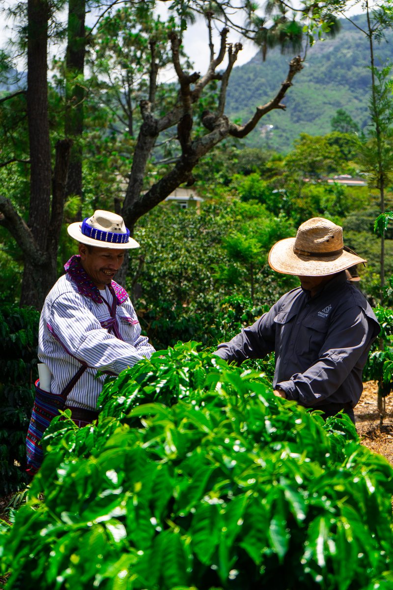Así vivimos la Mesa de Enlace de la Región V

Gracias a todos los productores que asistieron y participaron con ideas, preguntas y compromiso.

La Mesa de Enlace es un espacio de diálogo entre la Junta Directiva de Anacafé y los productores, que permite fortalecer la comunicación