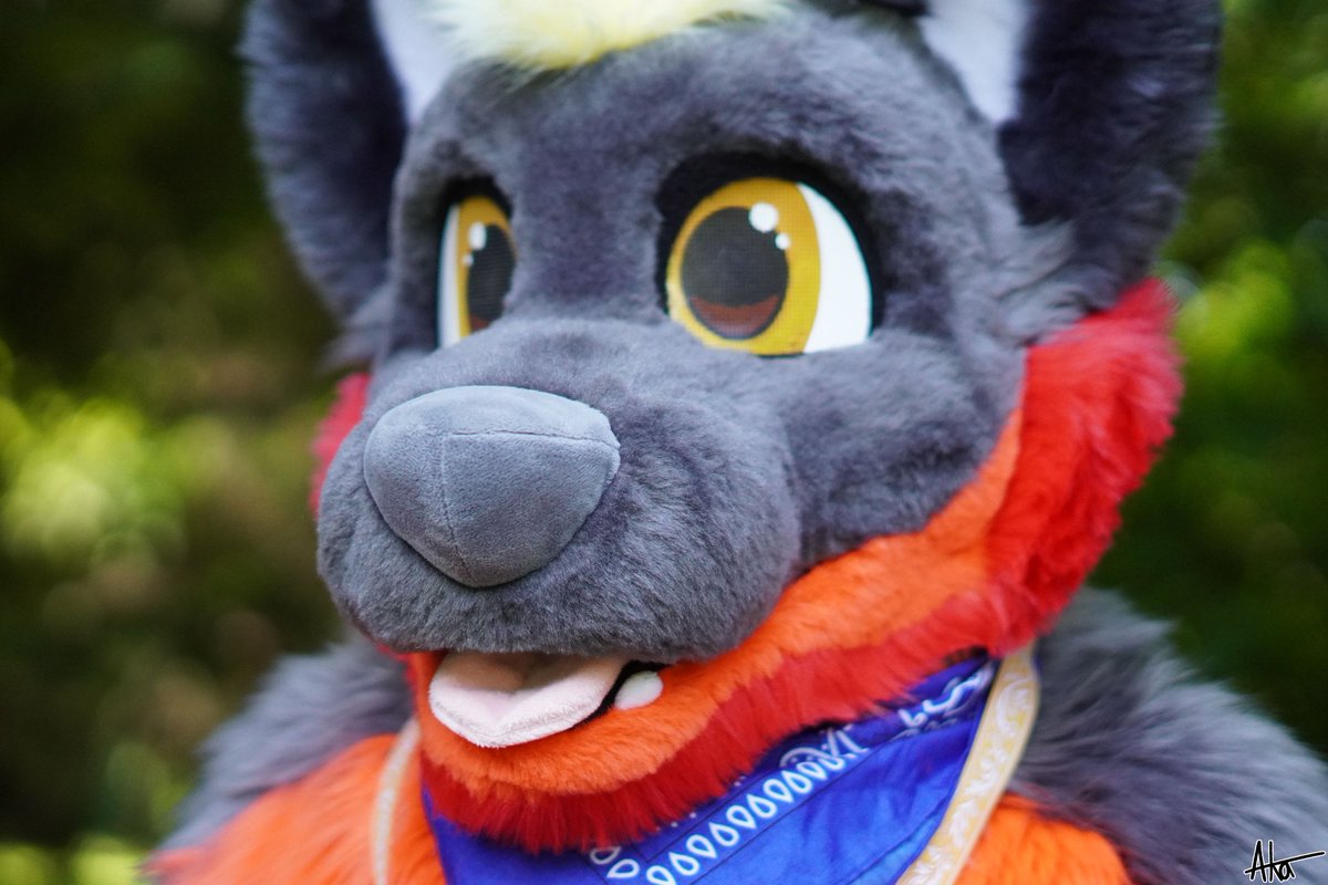 Caught mid-blep, no regrets. 😛
#FursuitFriday

📸 <a href="/Cuddled_Carnage/">𝓐𝓴𝓪 ♢ Bantal/ Adjagus</a> 
✂️ <a href="/VarrosCreations/">Varro's Creations</a>
📌 Marburg Fursuitwalk June 14 2025