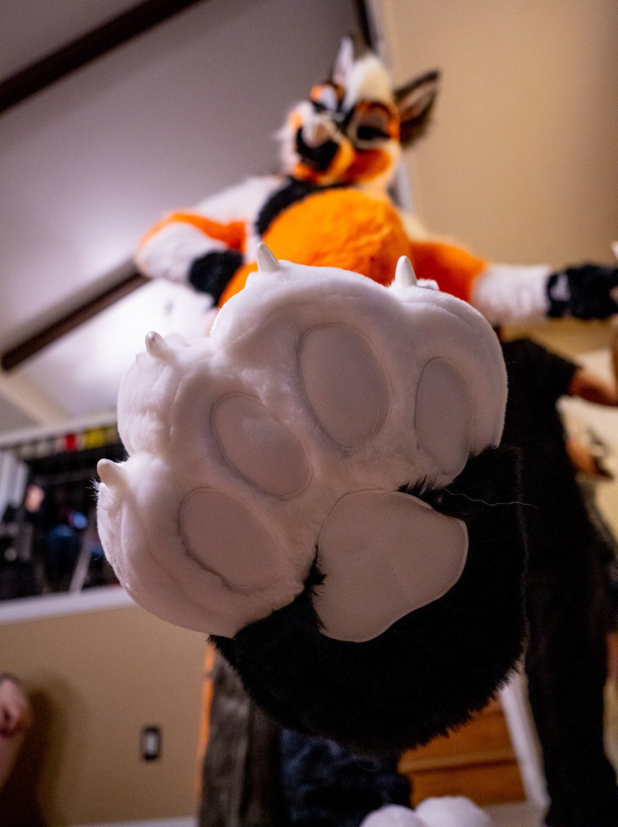 WYD next?

1) Rub
2) Lick
3) Sniff
4) Secret Fourth Option???

📸 <a href="/KooperShiba/">𝙆𝙊𝙊𝙋𝙀𝙍 🚀</a> 

#FursuitFriday