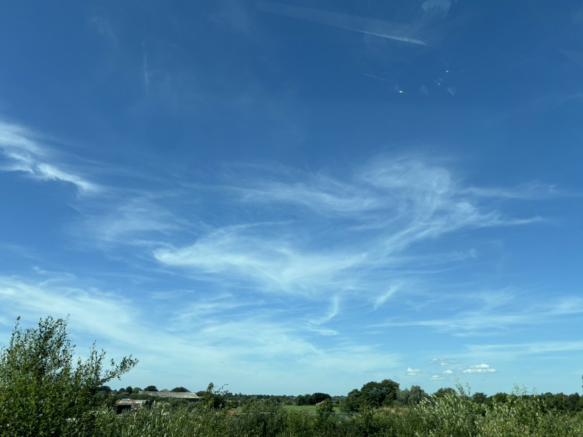 A dolphin maybe #clouds