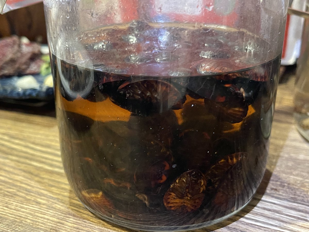 センシティブな食べ物食べて来た☠️