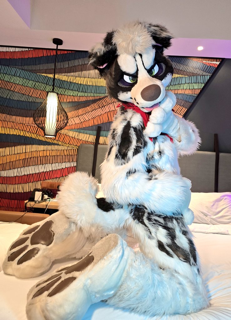 🐶 Zashi Mi 🔜 LVFC, FWA (@washizashi) on Twitter photo Please administer your face to my beans 🫵🫘
📷 <a href="/rekirc/">Rek</a> 
✂️ <a href="/mixedcandy/">Mixedcandy Inc</a> Please administer your face to my beans 🫵🫘
📷 <a href="/rekirc/">Rek</a> 
✂️ <a href="/mixedcandy/">Mixedcandy Inc</a>