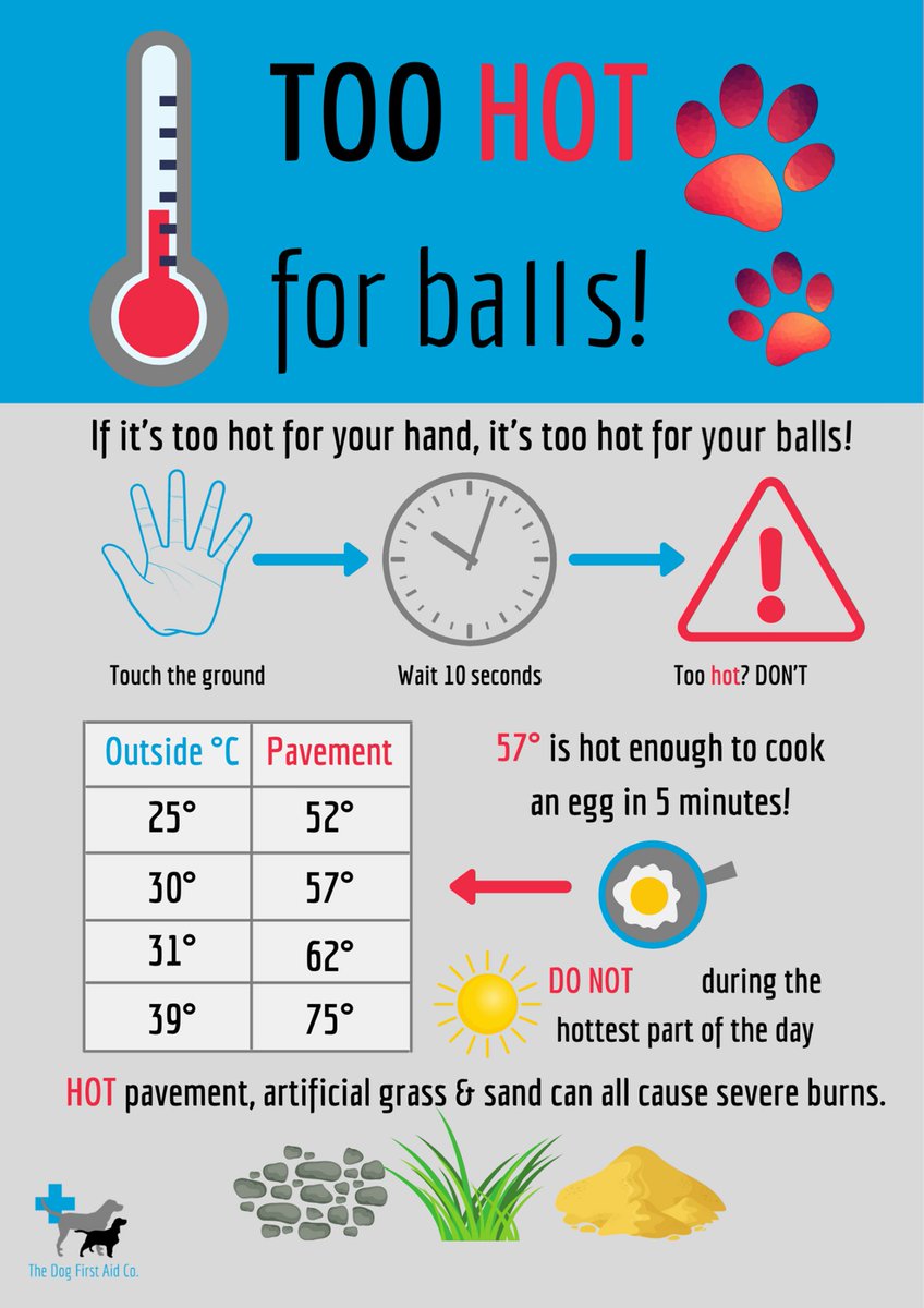 Guys, it's hot out there. Keep your furry friends safe!🕶️