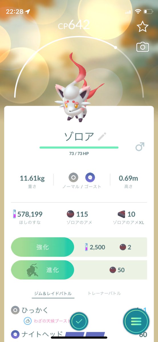 野生だったアルくんだ