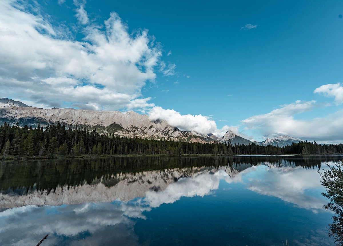 tpacfilms's tweet photo. Banff https://t.co/q8LWvNKE0H
