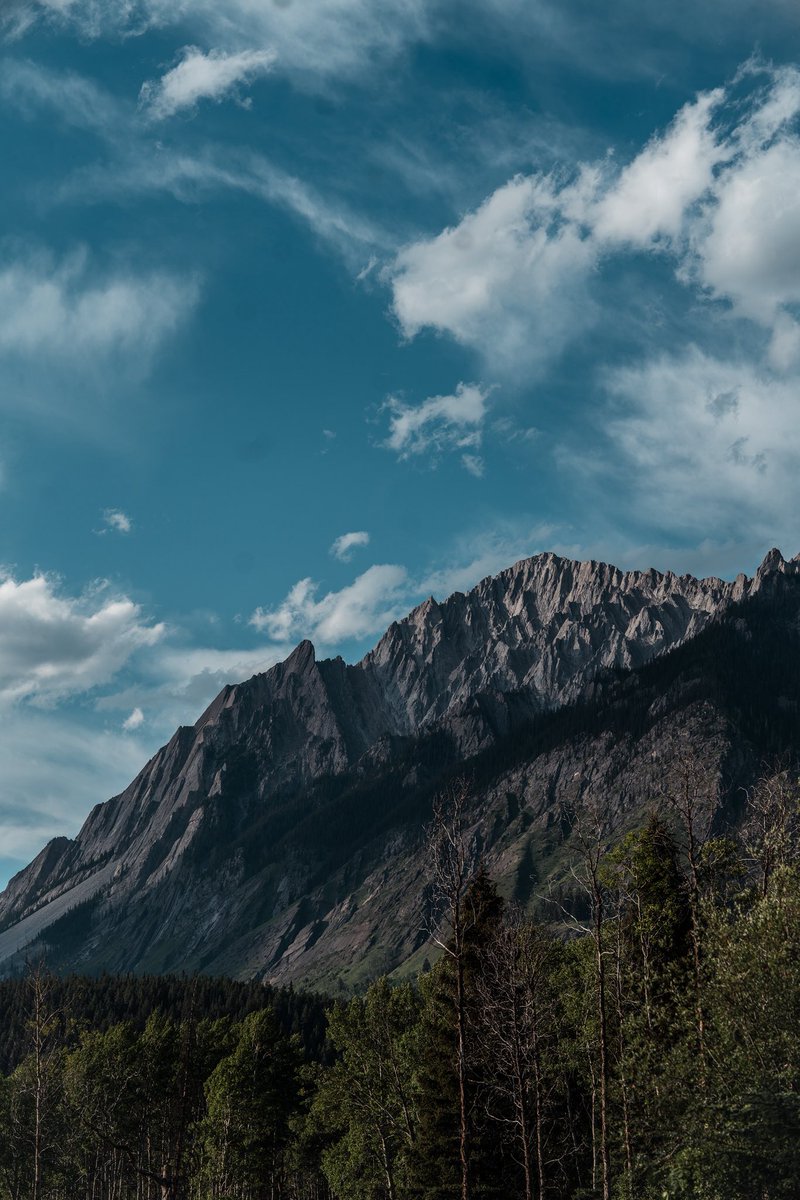 tpacfilms's tweet photo. Banff https://t.co/q8LWvNKE0H