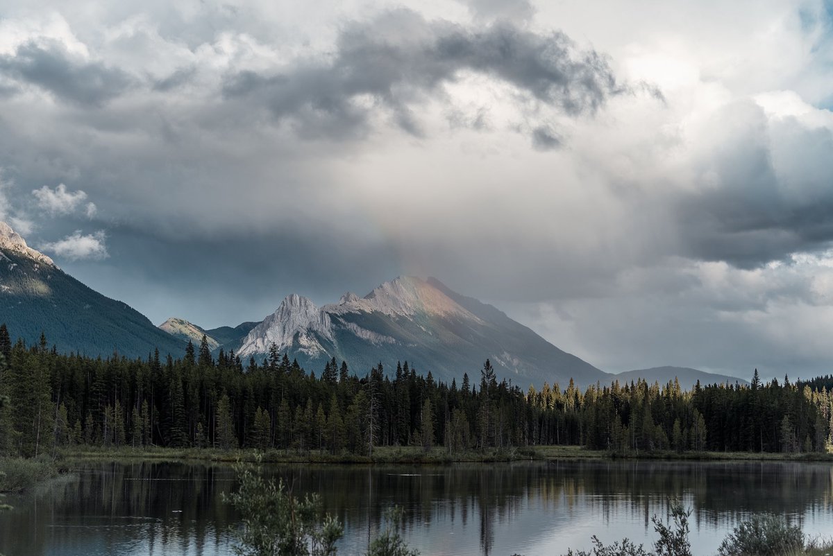 tpacfilms's tweet photo. Banff https://t.co/q8LWvNKE0H