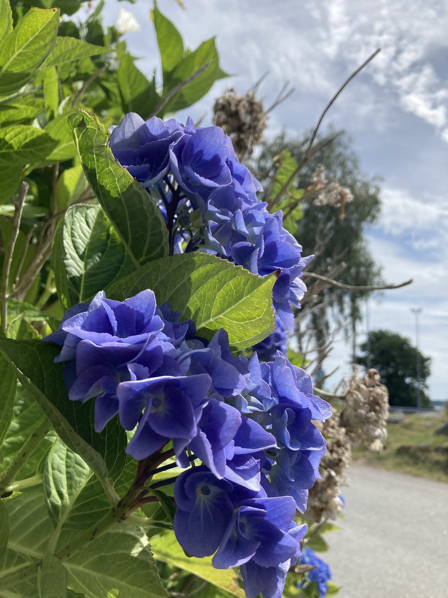 #Fredagsselfie god helg ønskes fra Palmekysten❤️