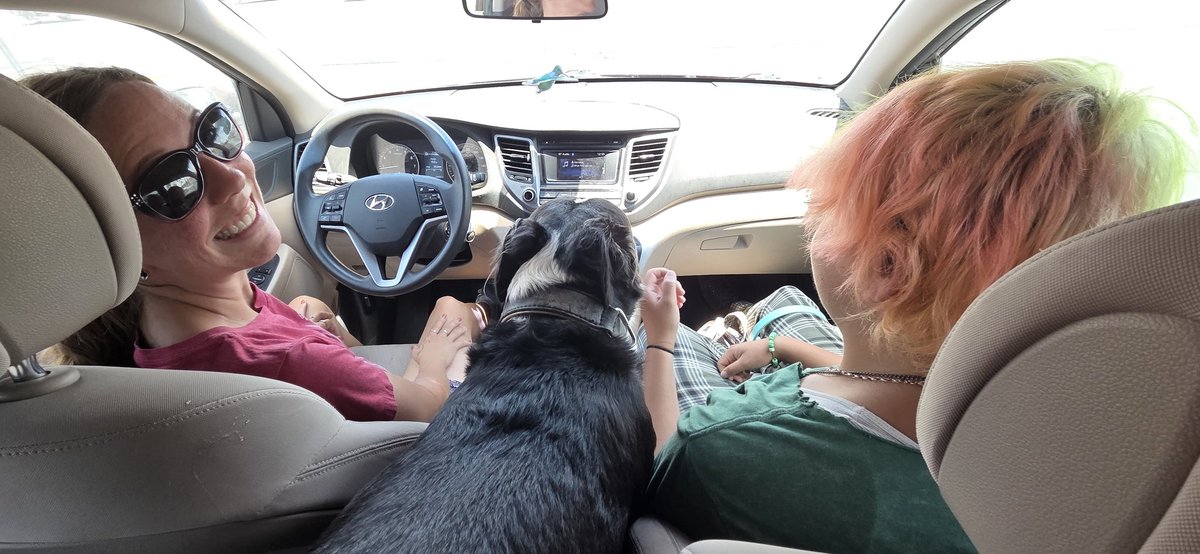 After the passing of our precious Bandit, a few months ago, we have a new pup alert. Fate turned in favor for us, and him: this pure bred good boi is ours. Meet Beaumont Rito Diaz, or Beau (for short). Beau-Rito if you're sassy. 
Border Collie/Pit mix and 75 lbs of pure love.