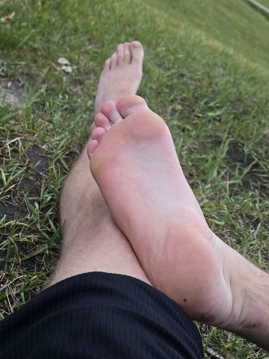 Took the dogs on a walk 👣