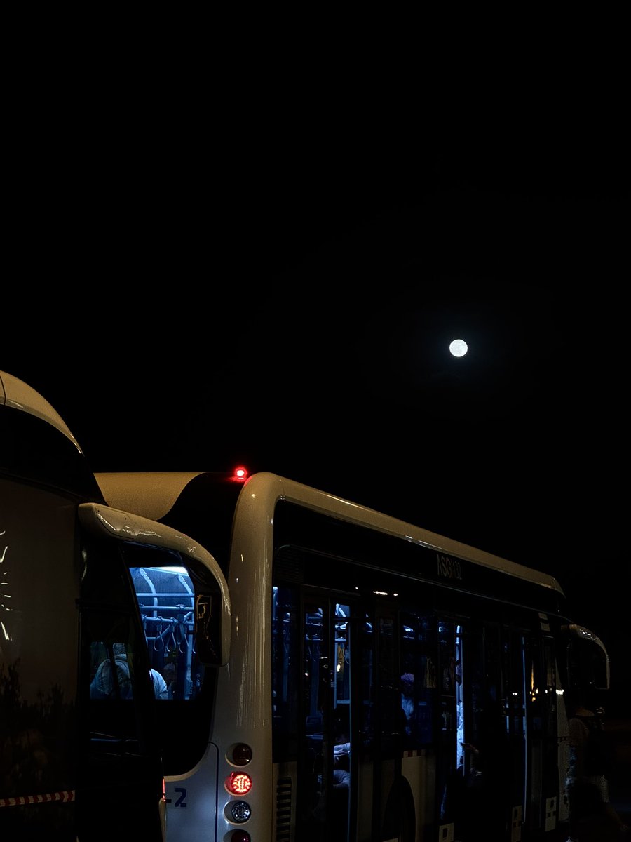 سارة آل محسن tweet media