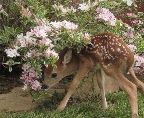 Кстати это я