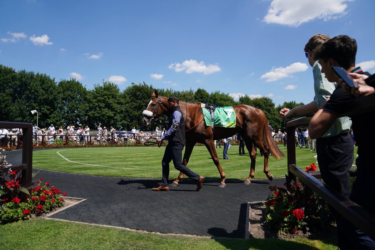 jjgiddens's tweet image. Another hot day as racegoers enjoy Festival Friday of the Debenhams July Festival 2025 at Newmarket Racecourse