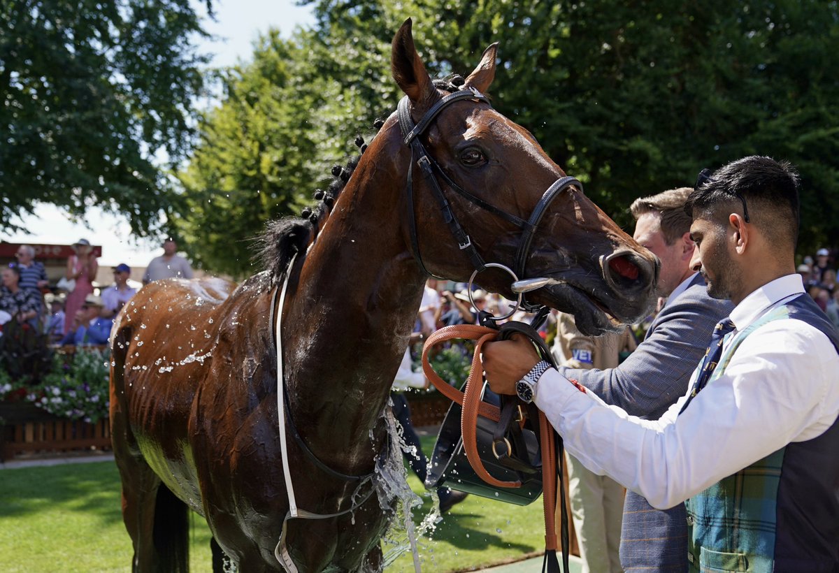 jjgiddens's tweet image. Another hot day as racegoers enjoy Festival Friday of the Debenhams July Festival 2025 at Newmarket Racecourse